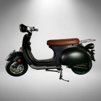 Savitron E-One R (125er Klasse),  Schwarz Matt  85 Km/h...