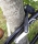 Varaneo ETook ET 490S Fahrradschloss wei&szlig; 750 mm